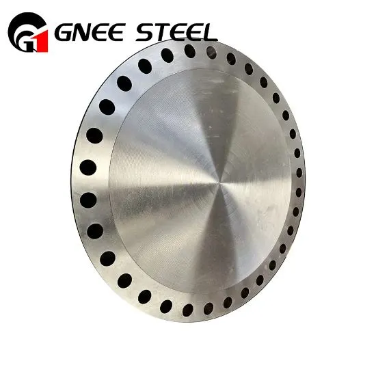 ハステロイブラインドフランジ