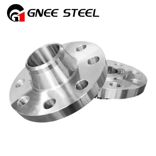 ハステロイ C2000 フランジ UNS N06200